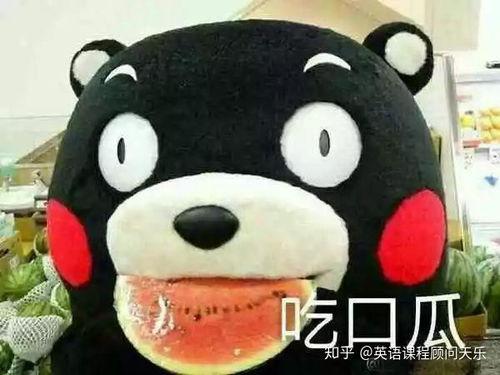 吃瓜群众英文热词的解释是什么