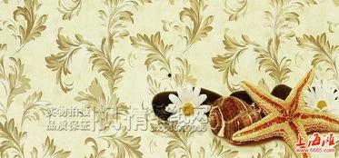 上海王菊背景,从选秀明星到时尚偶像的蜕变之路